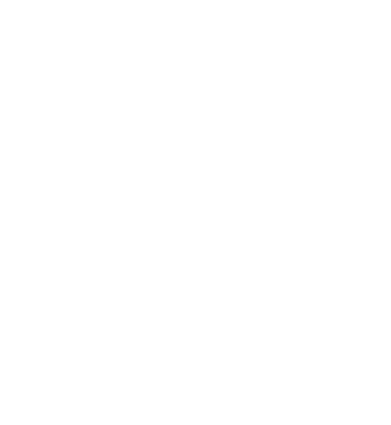 Logo Biscuteddi